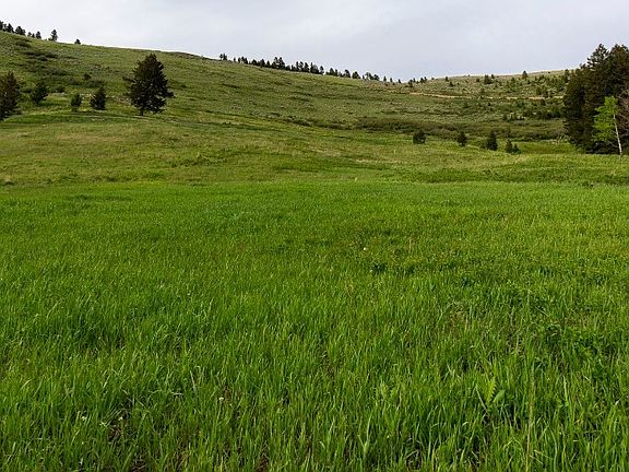 3rd image of Trail Creek Rd Lot 3