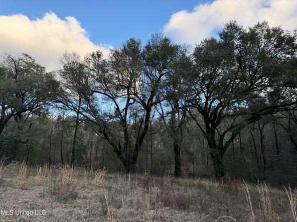 334 Baughman Rd, Poplarville, MS 39470