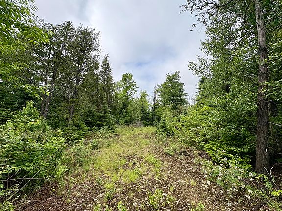 3rd image of Lot 2 Mt. Jefferson Heights
