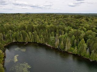 M19 L13-C Halls Mills Road, Whiting, ME 04691