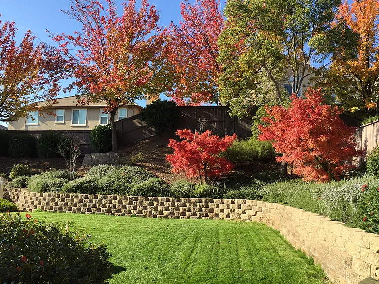 8054 Murcia Way — Photo 14
