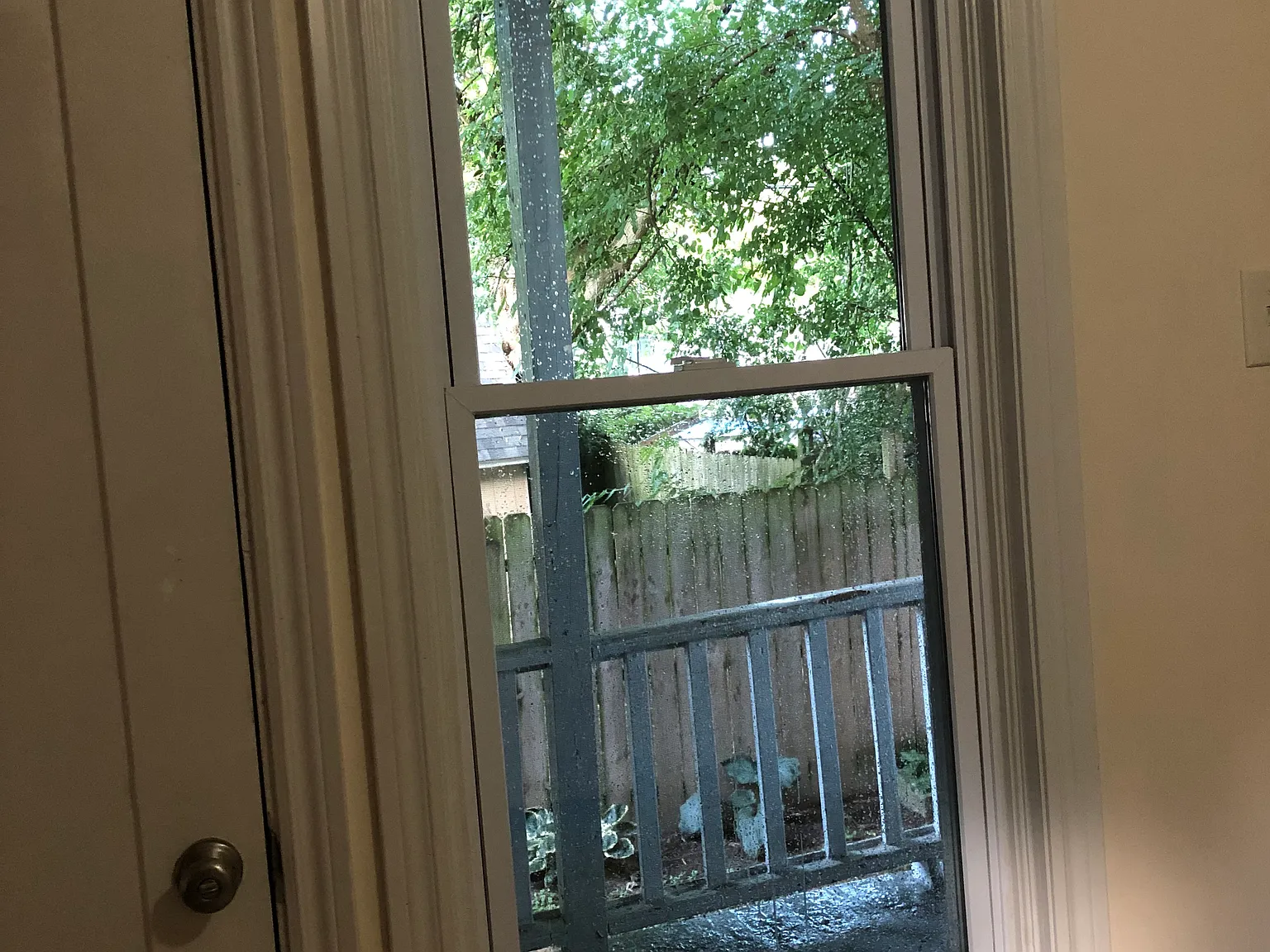2 bed, 950 sqft, $1,225 — Photo 2