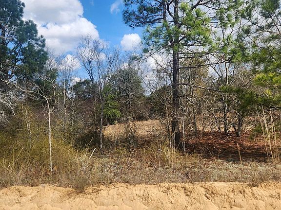 2nd image of N Fork Rd