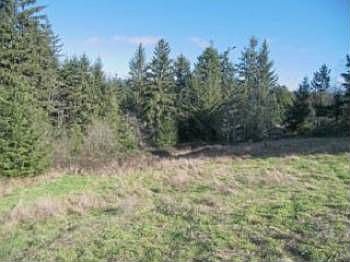 2nd image of 2335 Hewitt Rd