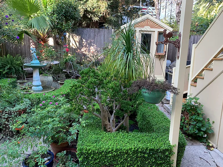garden