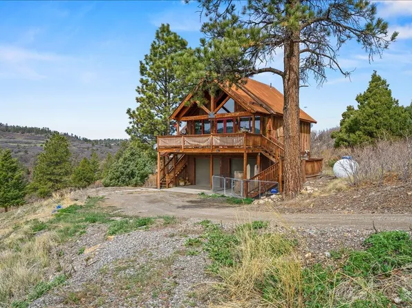 1685 Green Meadows Ln, Placerville, CO 81430