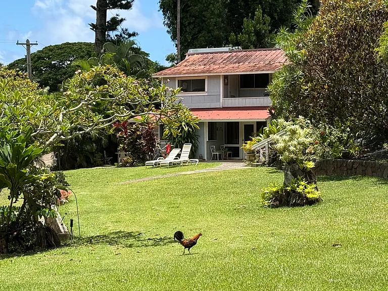 4388 Kanaele Rd #2 — Photo 1