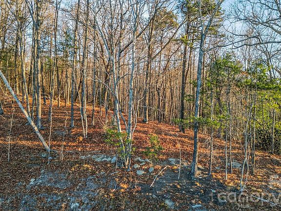 3rd image of 99 Spring Song Ln #9