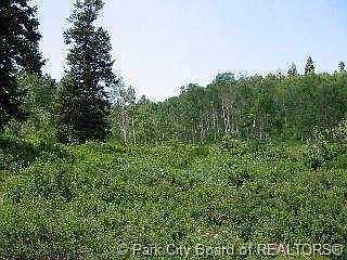 3rd image of 143 Pine Meadow Dr #S-143-5