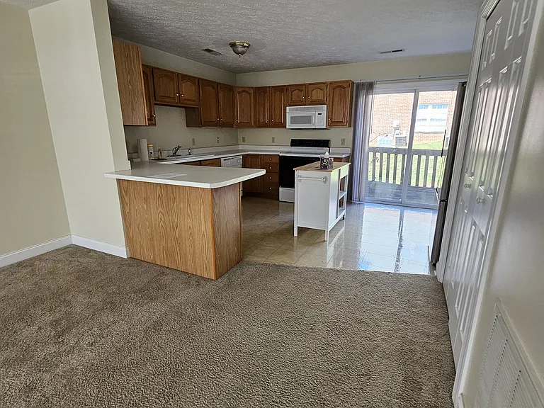 315 Silver Leaf Dr — Photo 24