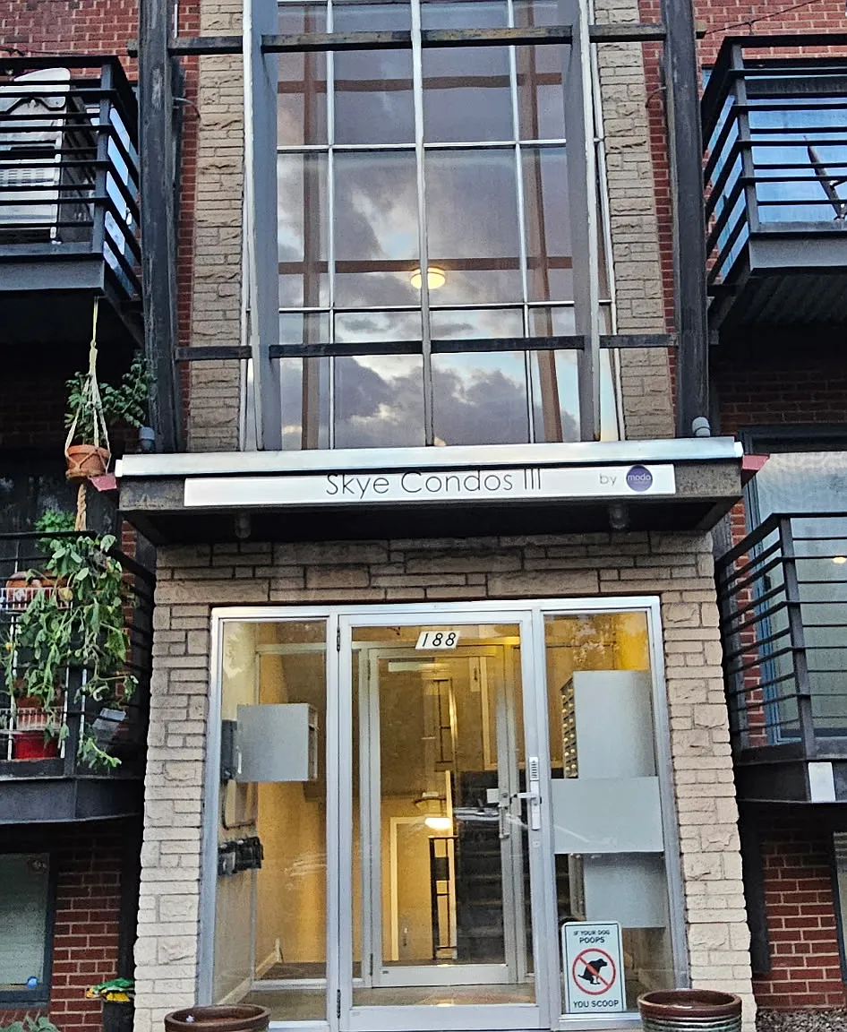 1 bed, 595 sqft, $1,800 — Photo 1