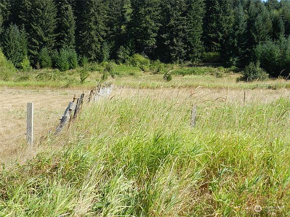 Looking directly down 30' easement>