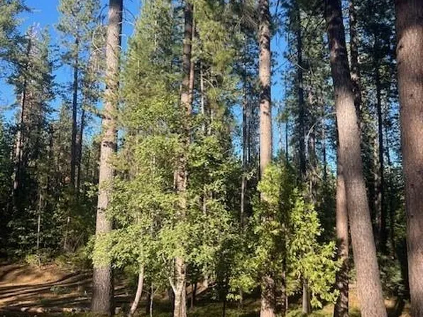 4432 Highway 4, Avery, CA 95224