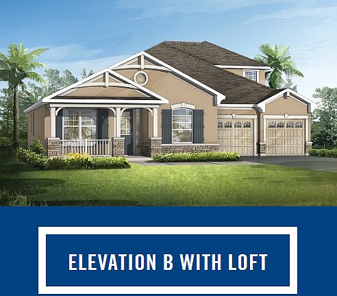 Elevation