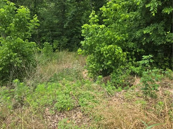 Enfield Dr #27, Bella Vista, AR 72715