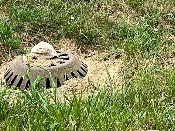 3rd image of W Maple St