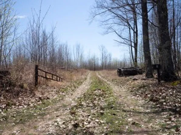 XXX E Beauregard Lake Road, Gordon, WI 54838