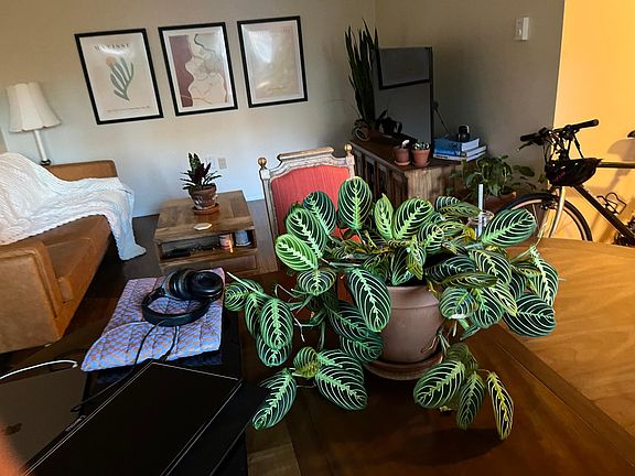 4th image of 6519 4th Ave NE APT 2