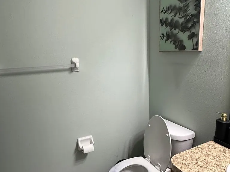 817 Ashentree Dr — Photo 6