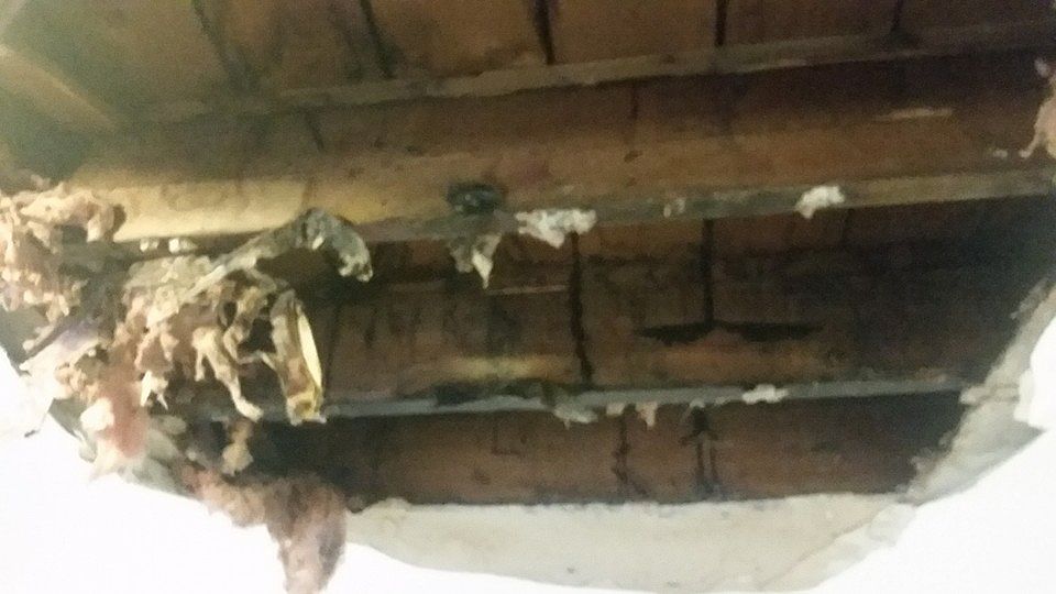 master bedroom jan 2016