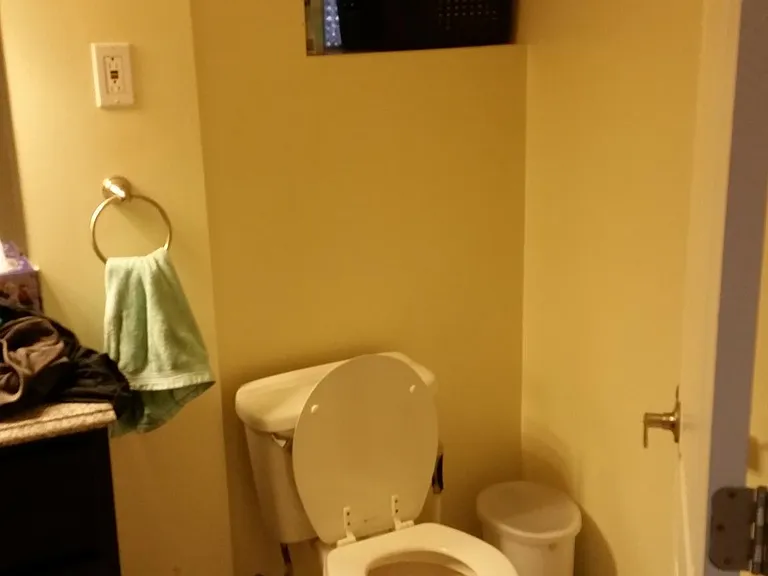 3629 S Hermitage Ave #BASEMENT — Photo 6