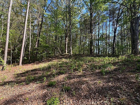 5th image of LOT 4 Battle Ridge Dr