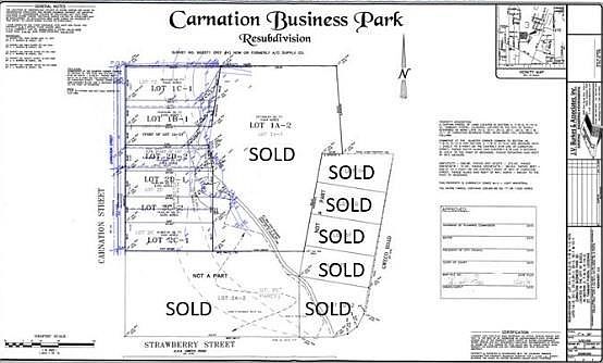 2nd image of Carnation St