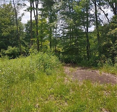 2nd image of 49 Georgetown Rd