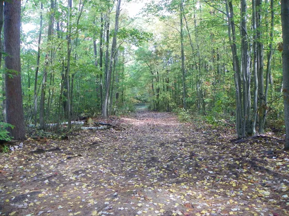 Nhn Russell Dr, Harrison, MI 48625
