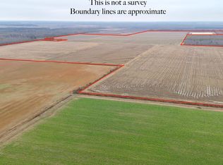 254 Fletcher Ellis Rd, Griffithville, AR 72060