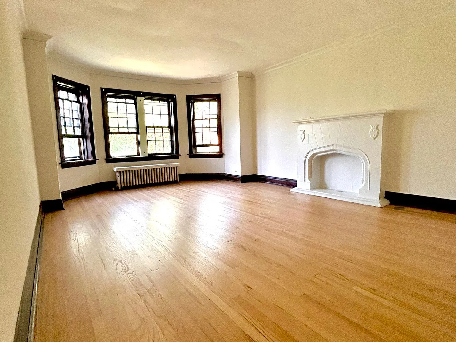 704 S Maple Ave — Photo 3