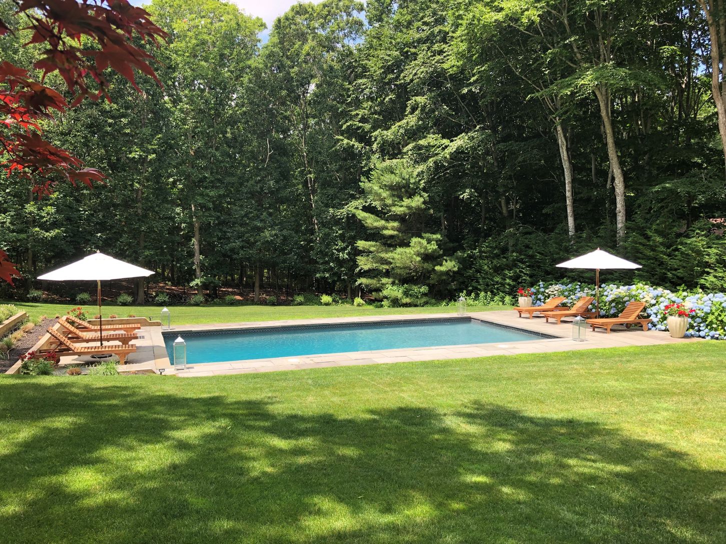  Pool in Full Sun