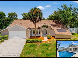 11015 Captain Dr, Spring Hill, FL 34608