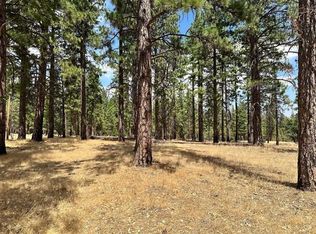 469-410 Childrens Rd, Susanville, CA 96130