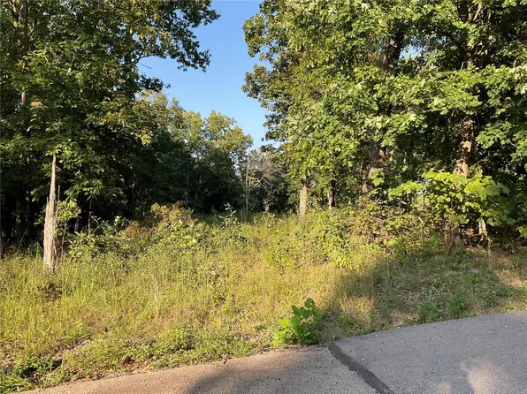 13492 Saddle Creek Rd, De Soto, MO 63020