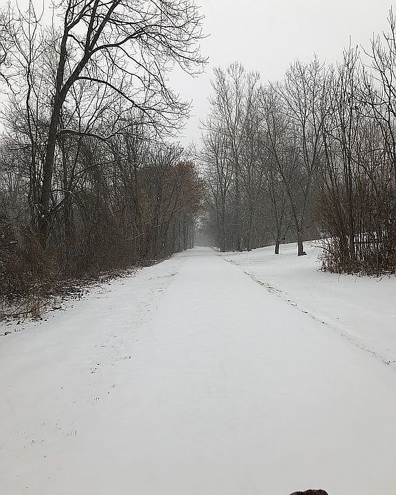 2nd image of 832 Lawn Rd