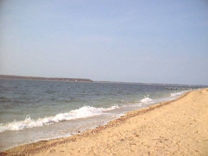 4th image of 43 Peconic Ave