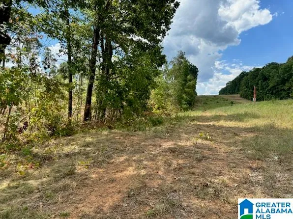 1925 County Road 59 #31, Roanoke, AL 36274