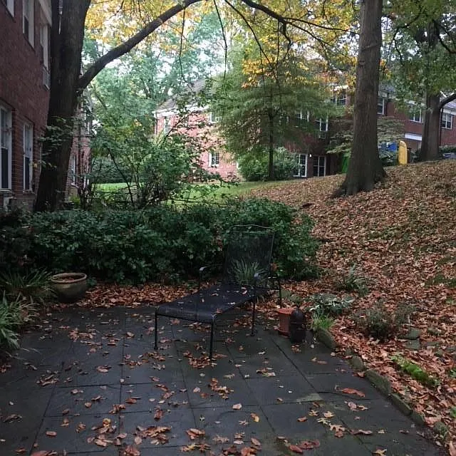 1 bed, 750 sqft, $2,050 — Photo 2