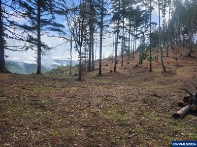 Old Peak Rd, Philomath, OR, 97370