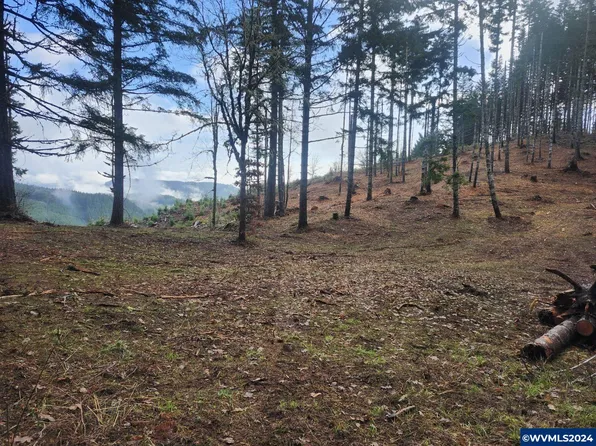 Old Peak Rd, Philomath, OR 97370