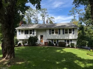 7 Valley View Rd, Chester Boro, NJ 07930