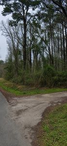 TBD Sing Ave., Conway, SC, 29527