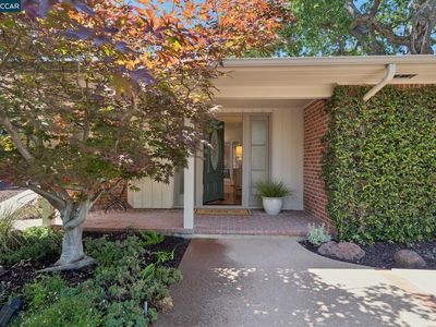 20 Santa Rita Dr, Walnut Creek, CA, 94596