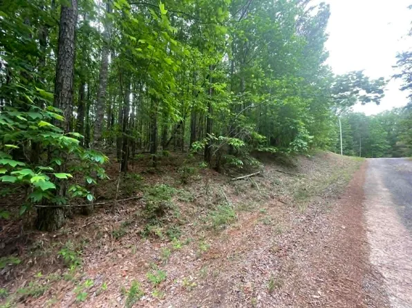 0 Bluff Way Dr, Jasper, AL 35503