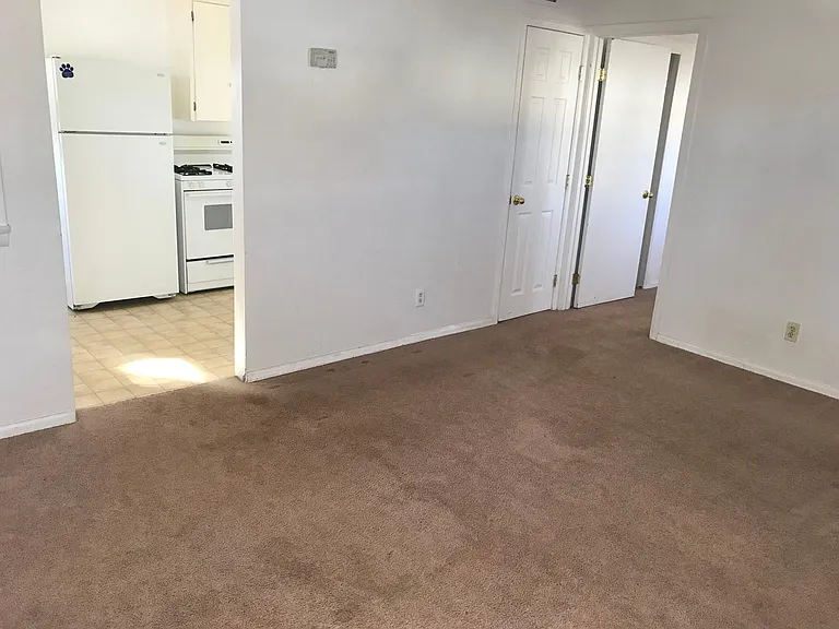 308 Pitkin St — Photo 8
