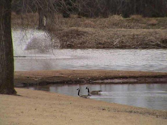 2nd image of 2712 W Woodhollow Trl