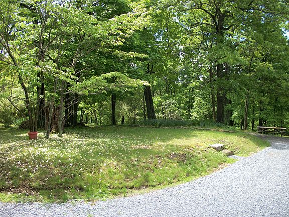Flower gardens in front
