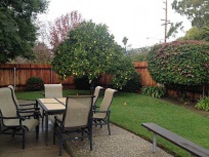 Fenced yard