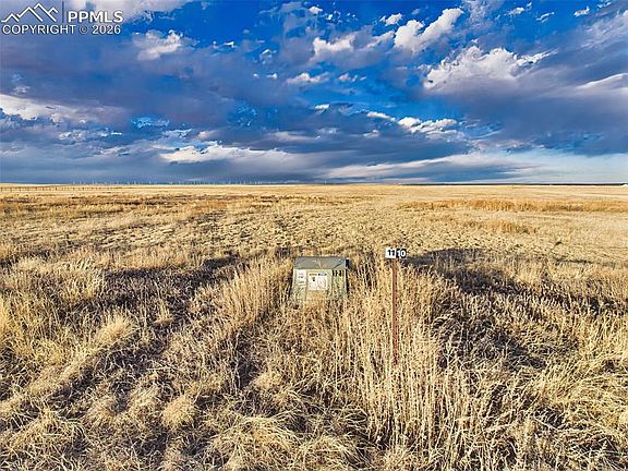 4th image of 29848 Lonesome Dove Ln